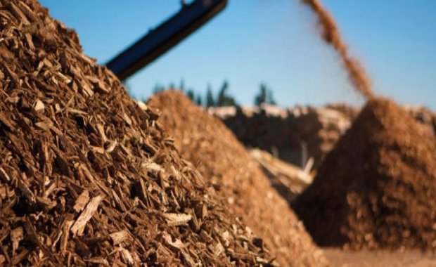 New wood drying technique could reduce transportation costs for biomass  